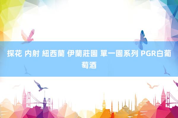 探花 内射 紐西蘭 伊蘭莊園 單一園系列 PGR白葡萄酒