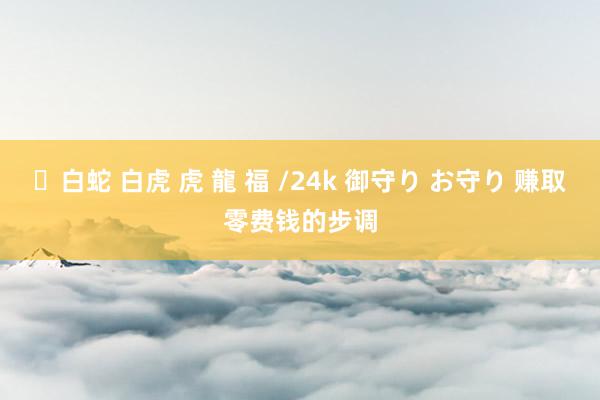 ✨白蛇 白虎 虎 龍 福 /24k 御守り お守り 赚取零费钱的步调