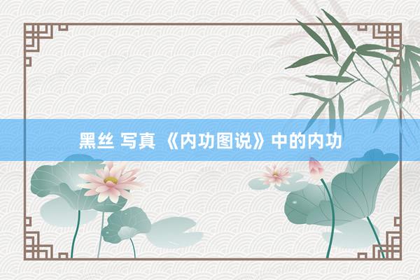 黑丝 写真 《内功图说》中的内功