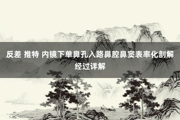 反差 推特 内镜下单鼻孔入路鼻腔鼻窦表率化剖解经过详解